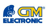 GM electronic